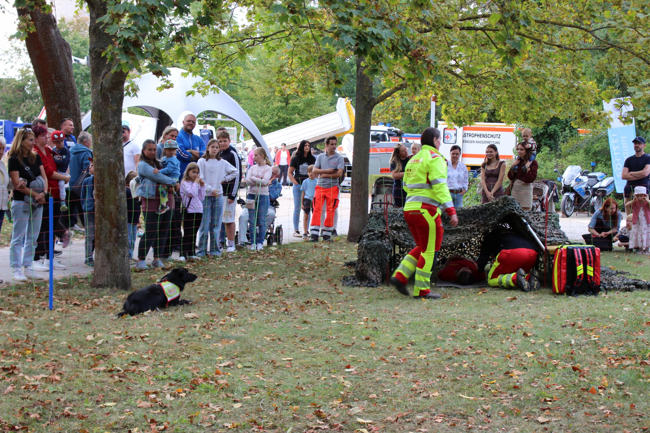 Tag der Feuerwehr 2026 in Schönebeck (Elbe) © Stadt Schönebeck (Elbe) Vorführung Hundestaffel © Stadt Schönebeck (Elbe)