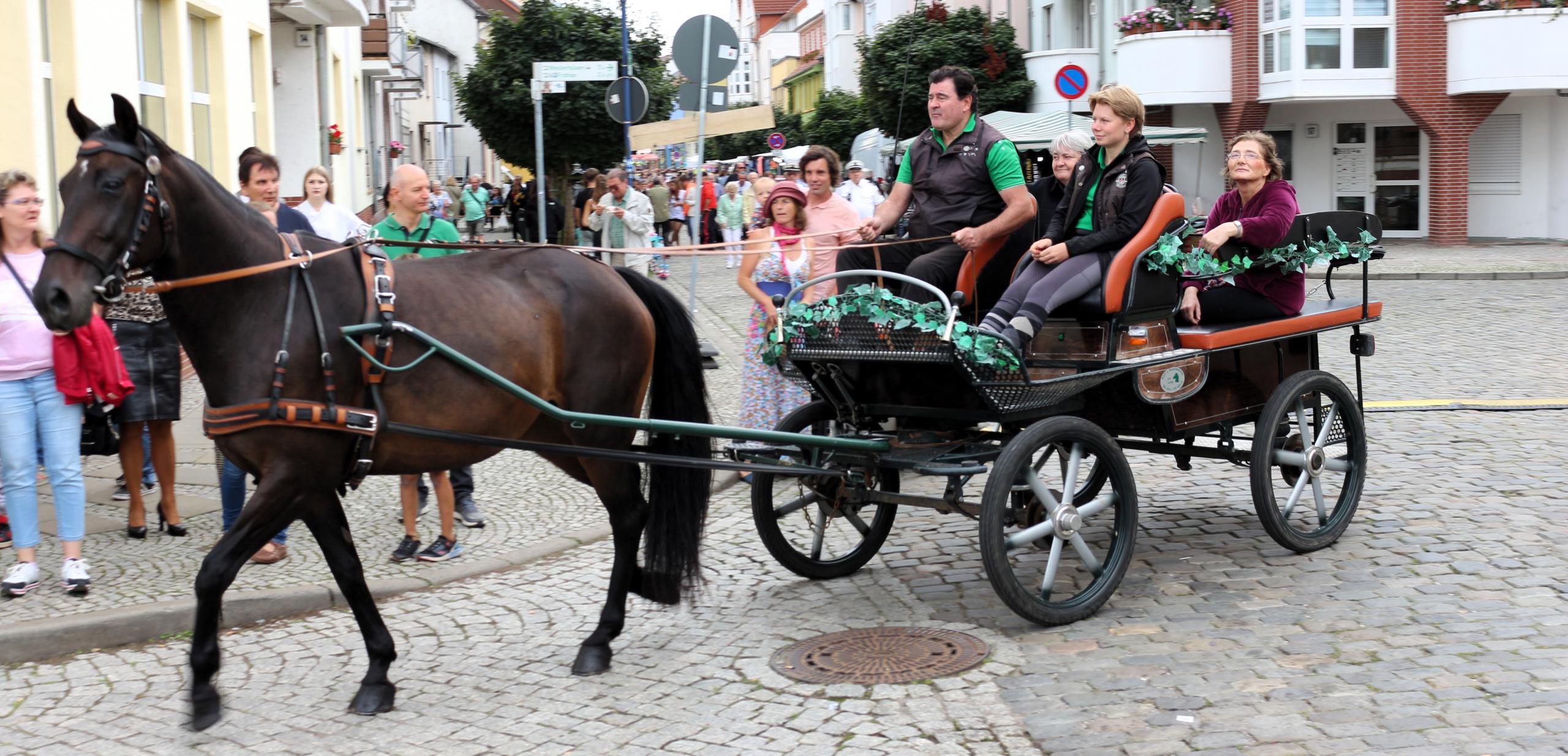 Impressionen Stadtfest