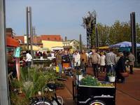 Pflanzenmarkt2010