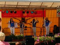 Bierer Berg Fest