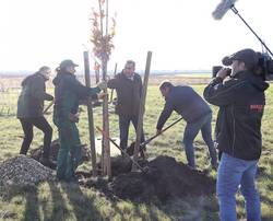 Arbeitseinsatz am Ringheiligtum.