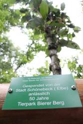 Baumspende am Bierer Berg.