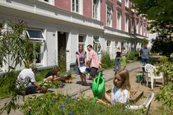 Nachbarinnen und Nachbarn in Hamburg-Eppendorf sorgen für einen blühenden Hinterhof.
