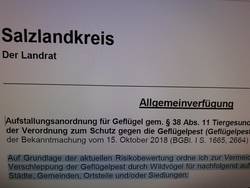 Verfügung SLK