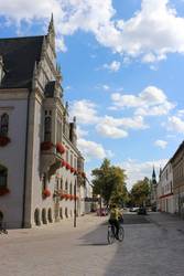 Die Baumaßnahme Breiteweg startet im 3. Quartal 2022. Im Februar sollen vorbereitend bereits Bäume gefällt werden. © Stadt Schönebeck (Elbe) Rathaus Breiteweg
