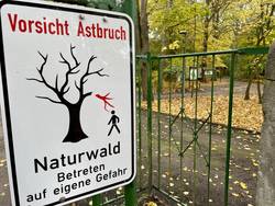 Eingang Tannenwäldchen © SOLEPARK SOLEPARK