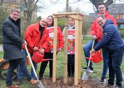 Pflanzaktion in Schönebeck (v.l.): Oberbürgermeister Bert Knoblauch, Andreas Baack (Salzlandsparkasse), Diana Höpfner (Salzlandsparkasse), Silke Beyme (Stadt Schönebeck), Kevin Stohge (Salzlandsparkasse) und Guido Schmidt, Dezernent der Stadt Schönebeck. © Stadt Schönebeck (Elbe) Baumspende1