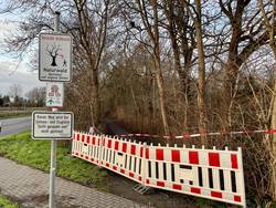 Die Sperrung des Tannenwäldchens wird aufgehoben. © Stadt Schönebeck (Elbe) SperrungTannenwaldchenSturm