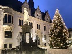 Beleuchteter Weihnachtsbaum vor Rathaus mit Brunnen