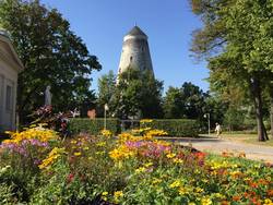 Soleturm im Sommer © SOLEPARK Soleturm im Sommer