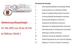 Abstimmung Bürgerbudget © Stadt Schönebeck (Elbe) Abzustimmende Projekte