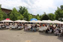 Kurparkbühne © Stadt Schönebeck (Elbe) Kinder- und Familienfest 2025