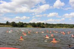 Der 22. Elbebadetag findet am 23. August 2025 am Bootshaus der Ruderer statt. © Stadt Schönebeck (Elbe) Menschen durchschwimmen die Elbe beim Elbebadetag.
