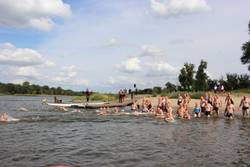 Höhepunkt beim Elbebadetag: Das Durchschwimmen der Elbe. © Stadt Schönebeck (Elbe) Menschen gehen in die Elbe, um sie zu durchschwimmen.