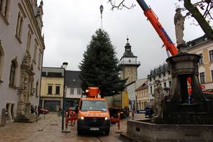 Bauhof stellt die Weihnachtsbäume für 2025 © Stadt Schönebeck (Elbe) Im Namen der Stadt bedanke sich Constanze Pohlan vom Sachgebiet Kultur und Sport bei allen Beteiligten für die erfolgreichen Umsetzungen der "Weihnachtsbäume".