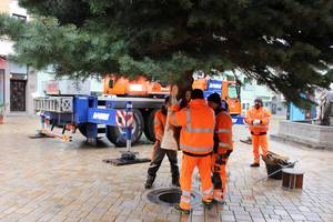 Bauhof stellt die Weihnachtsbäume für 2025 © Stadt Schönebeck (Elbe) Im Namen der Stadt bedanke sich Constanze Pohlan vom Sachgebiet Kultur und Sport bei allen Beteiligten für die erfolgreichen Umsetzungen der "Weihnachtsbäume".