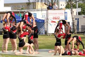 Solecup1