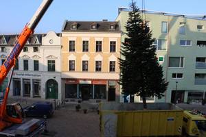 Weihnachtsbaum Altstadt