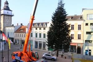 Weihnachtsbaum Altstadt