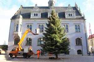 Weihnachtsbaum Altstadt