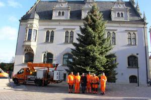 Weihnachtsbaum Altstadt