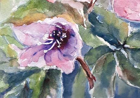 Ausstellung "Farbenfluss" &copy; Dieter Schüler