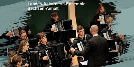 Landes-Akkordeon-Ensemble Sachsen-Anhalt &copy; LAESA