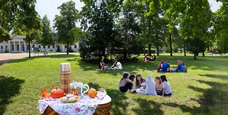Picknick im Kurpark © SOLEPARK / Bildquelle: Pixabay.com