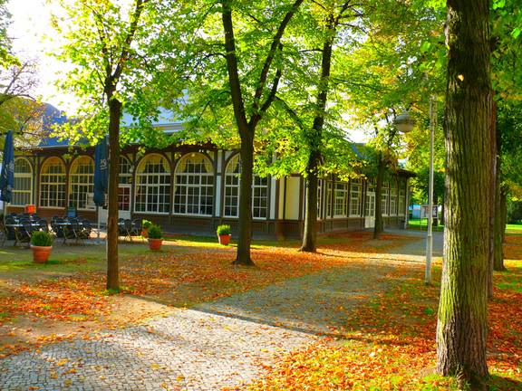 Die Mitteldeutsche Kammerphilharmonie hofft auf das Konzert am 5. Dezember im Dr.-Tolberg-Saal. © Stadt Schönebeck Herbst Solepark ©Stadt Schönebeck