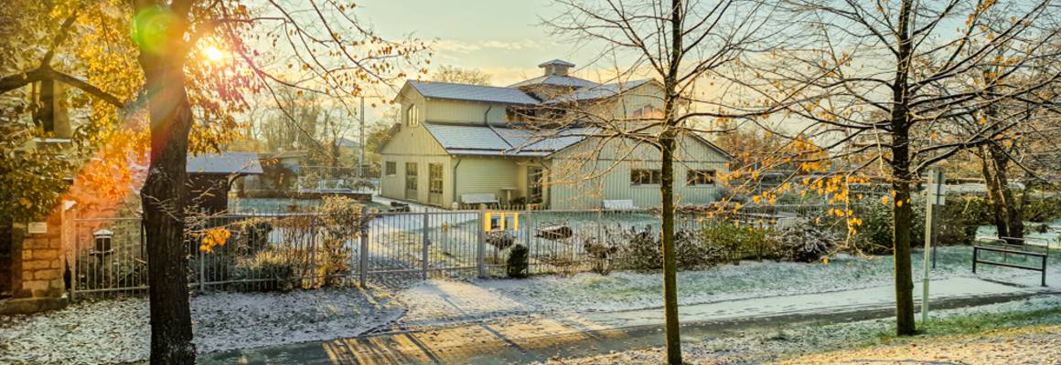 Baumallee Ranies ©Stadt Schönebeck (Elbe) Baumallee Ranies