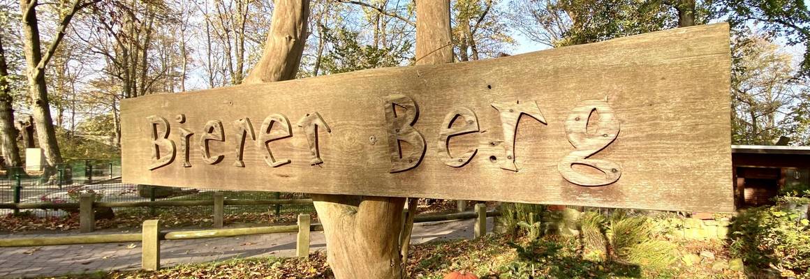 Bierer Berg