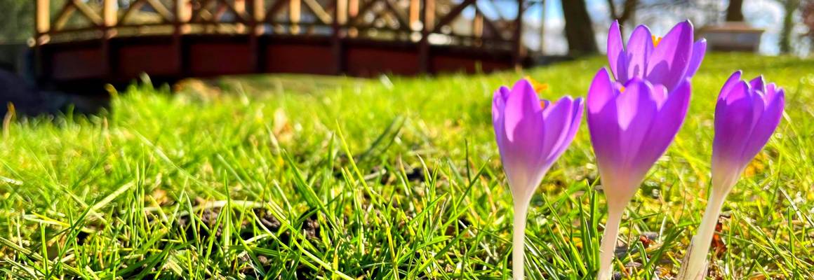 Frühling