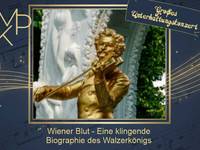 Mitteldeutsche Kammerphilharmonie Schönebeck