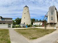 Kunsthof-Gebäude im Sommer