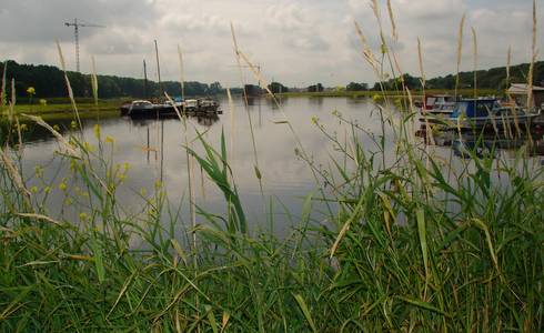 Landschaft © Stadt Schönebeck (Elbe) Symbolbild