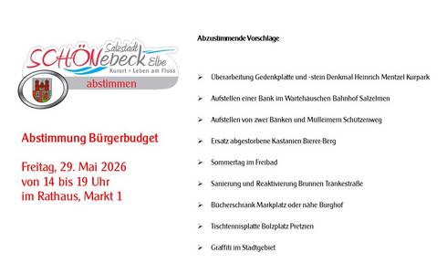 Abstimmung Bürgerbudget 2026 © Stadt Schönebeck (Elbe) Abstimmung Bürgerbudget