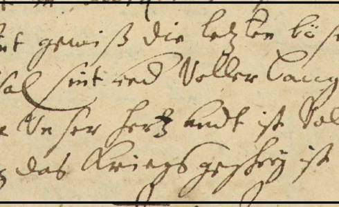 Stadtarchiv Schönebeck, Zeilen aus dem Neujahrsgedicht Pfarrer Wapenhentsch