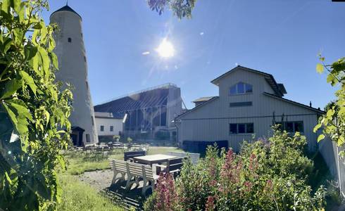 Kunsthof in der Sommersonne