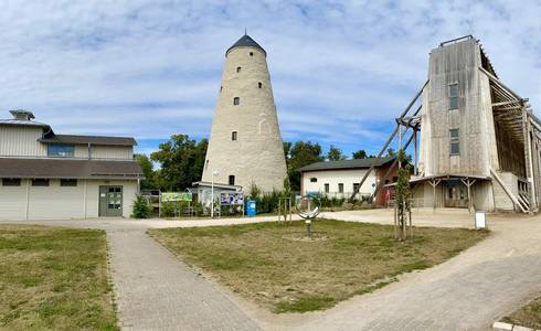 Kunsthof-Gebäude im Sommer