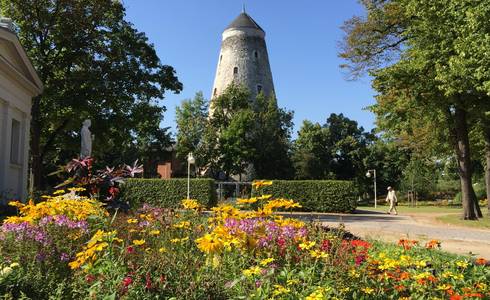 Soleturm im Sommer