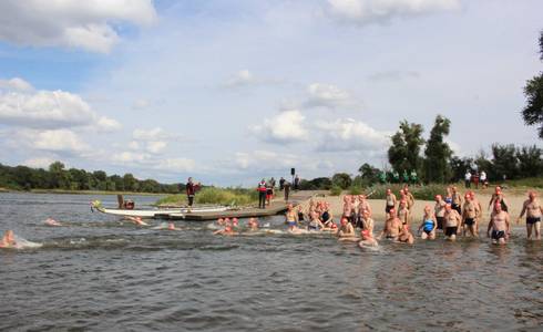 elbebadetag schwimm