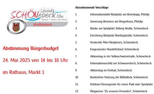 Abzustimmende Projekte