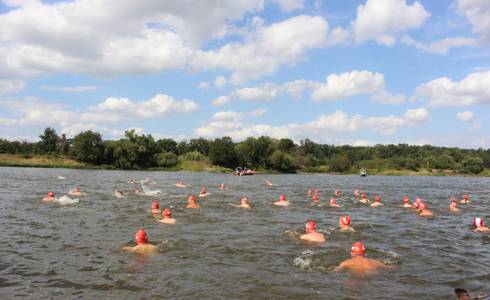 Menschen durchschwimmen die Elbe beim Elbebadetag.