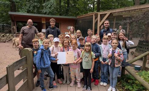 Tierpatenschaft Rhönschaf