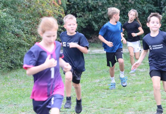 Drei-Brücken-Lauf 2025