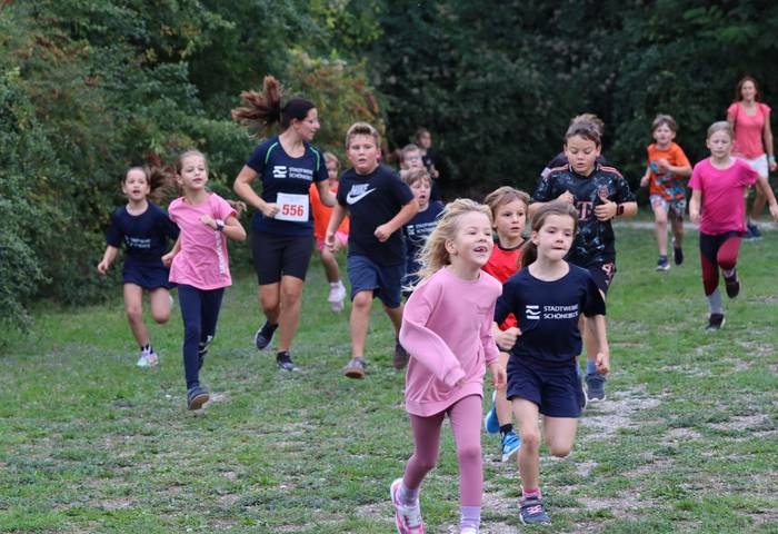 Drei-Brücken-Lauf 2025