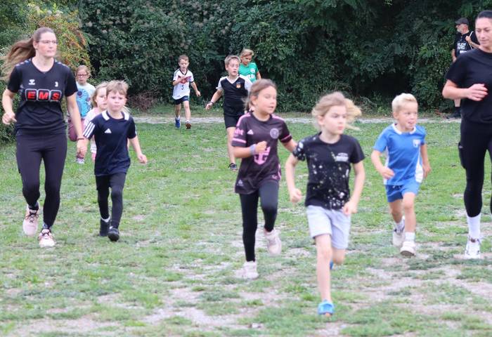 Drei-Brücken-Lauf 2025